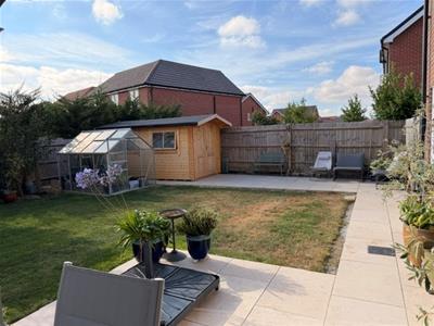 Picture 27